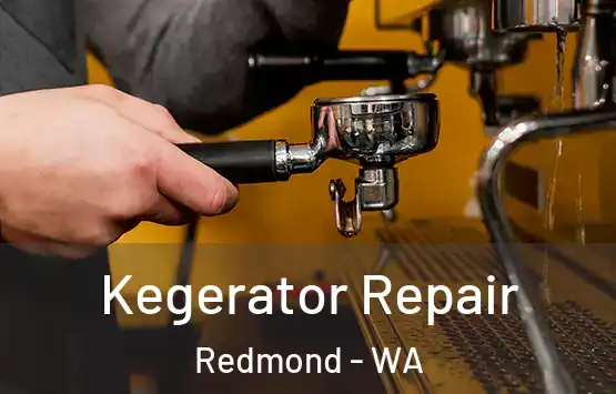  Kegerator Repair Redmond - WA