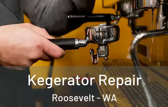  Kegerator Repair Roosevelt - WA