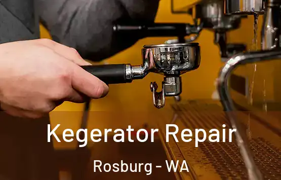  Kegerator Repair Rosburg - WA