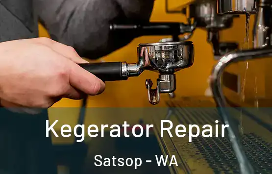  Kegerator Repair Satsop - WA