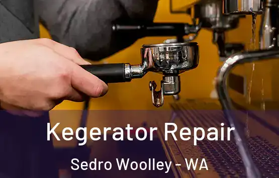  Kegerator Repair Sedro Woolley - WA
