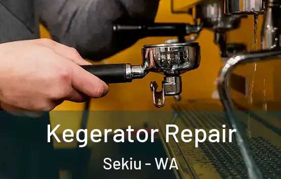  Kegerator Repair Sekiu - WA