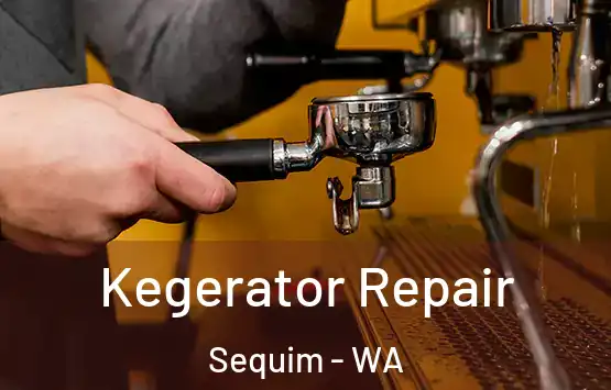  Kegerator Repair Sequim - WA
