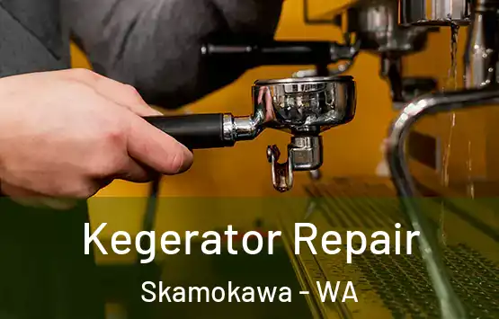  Kegerator Repair Skamokawa - WA