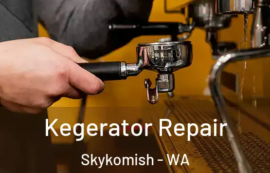  Kegerator Repair Skykomish - WA