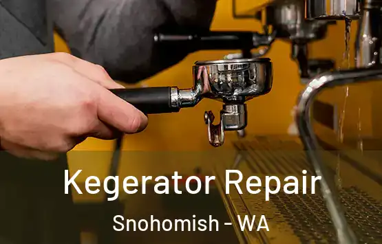  Kegerator Repair Snohomish - WA
