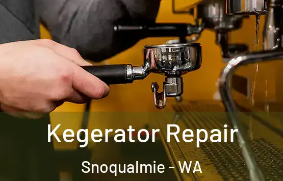  Kegerator Repair Snoqualmie - WA