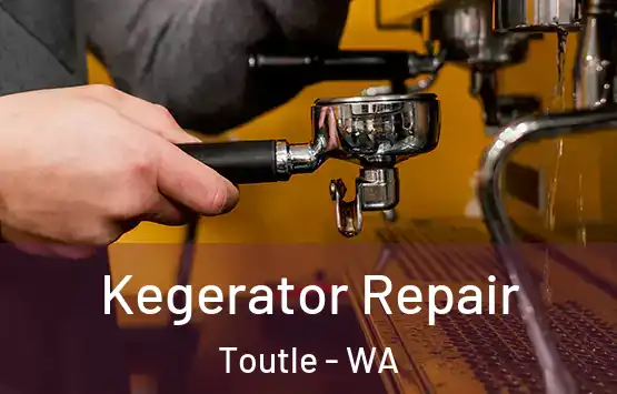  Kegerator Repair Toutle - WA