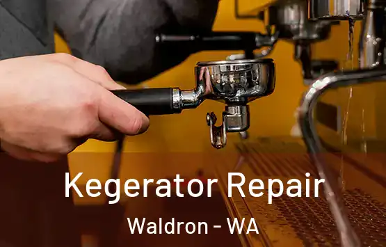  Kegerator Repair Waldron - WA