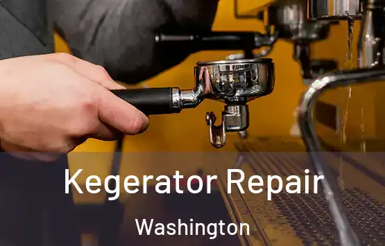  Kegerator Repair Washington