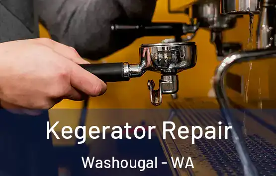  Kegerator Repair Washougal - WA