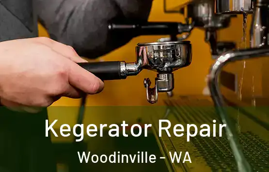  Kegerator Repair Woodinville - WA