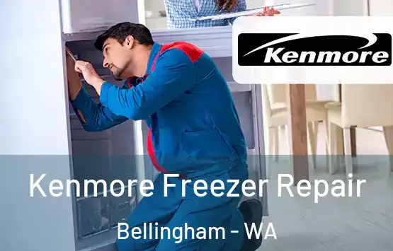  Kenmore Freezer Repair Bellingham - WA