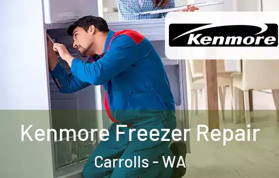  Kenmore Freezer Repair Carrolls - WA