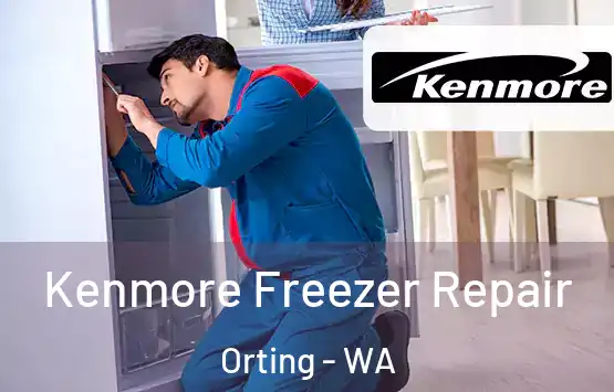  Kenmore Freezer Repair Orting - WA
