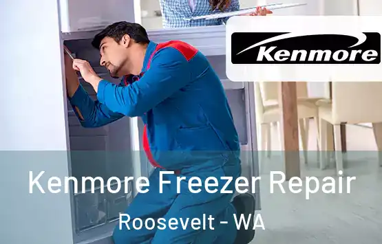  Kenmore Freezer Repair Roosevelt - WA