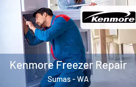  Kenmore Freezer Repair Sumas - WA