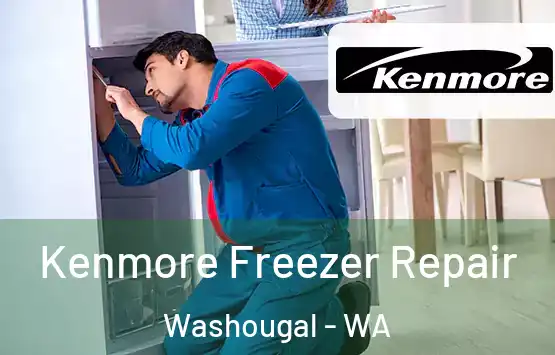  Kenmore Freezer Repair Washougal - WA