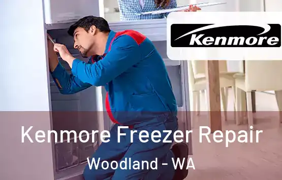  Kenmore Freezer Repair Woodland - WA