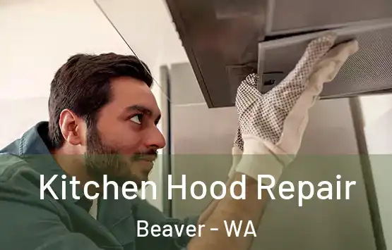  Kitchen Hood Repair Beaver - WA