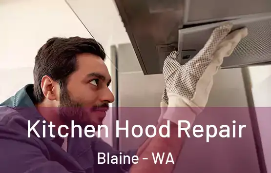  Kitchen Hood Repair Blaine - WA