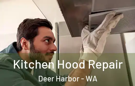  Kitchen Hood Repair Deer Harbor - WA
