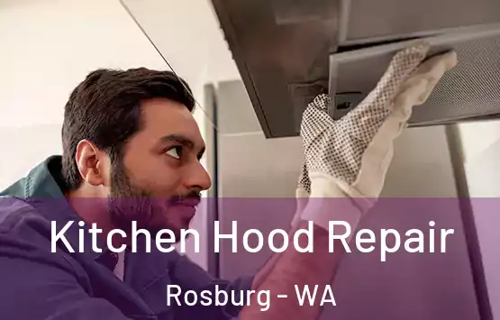  Kitchen Hood Repair Rosburg - WA