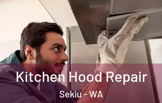 Kitchen Hood Repair Sekiu - WA