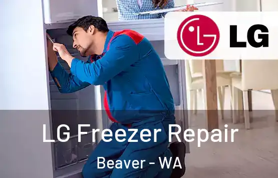  LG Freezer Repair Beaver - WA