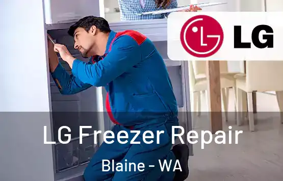  LG Freezer Repair Blaine - WA