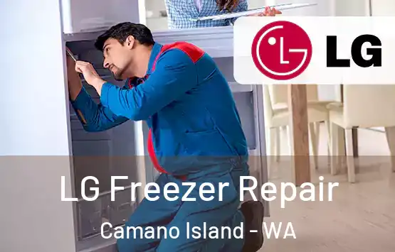  LG Freezer Repair Camano Island - WA
