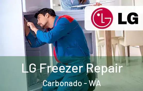  LG Freezer Repair Carbonado - WA