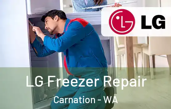  LG Freezer Repair Carnation - WA