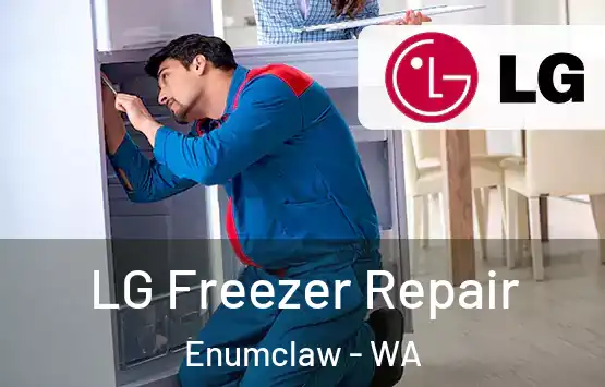 LG Freezer Repair Enumclaw - WA