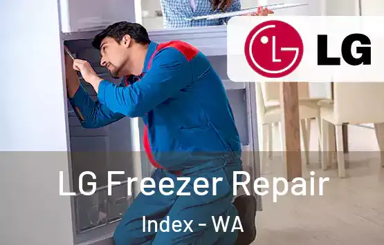  LG Freezer Repair Index - WA