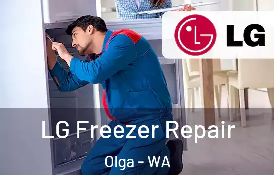  LG Freezer Repair Olga - WA