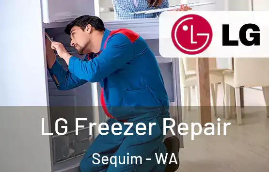  LG Freezer Repair Sequim - WA