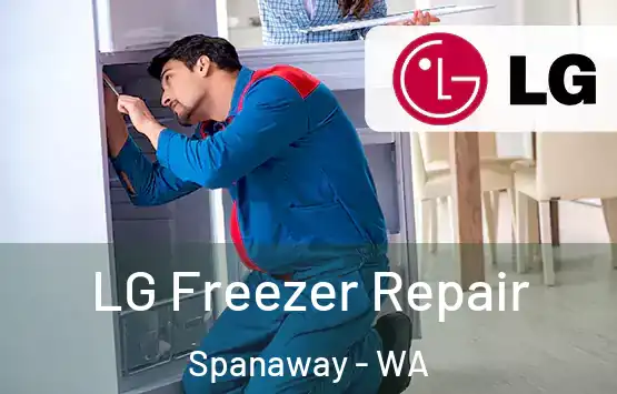  LG Freezer Repair Spanaway - WA