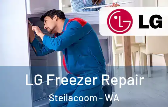  LG Freezer Repair Steilacoom - WA