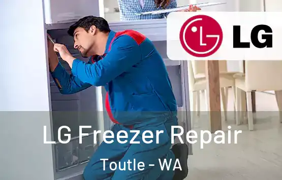  LG Freezer Repair Toutle - WA