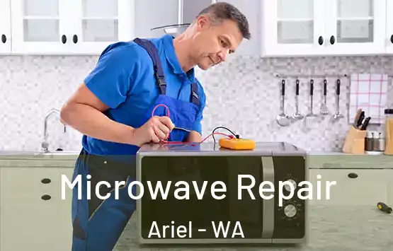  Microwave Repair Ariel - WA