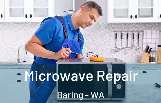  Microwave Repair Baring - WA