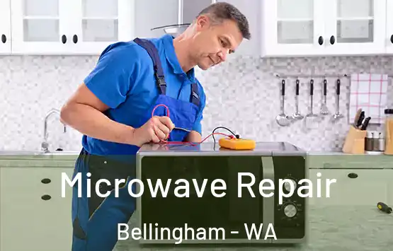  Microwave Repair Bellingham - WA