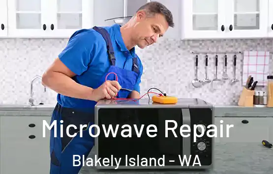  Microwave Repair Blakely Island - WA