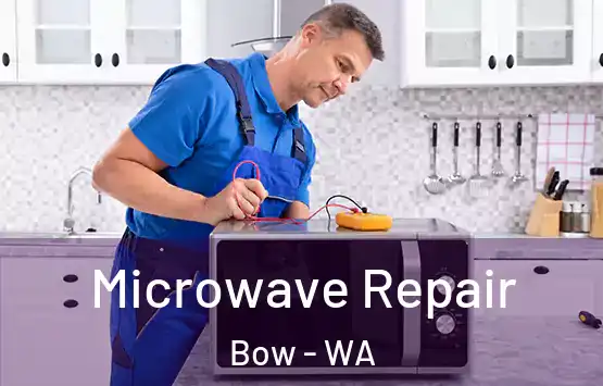  Microwave Repair Bow - WA