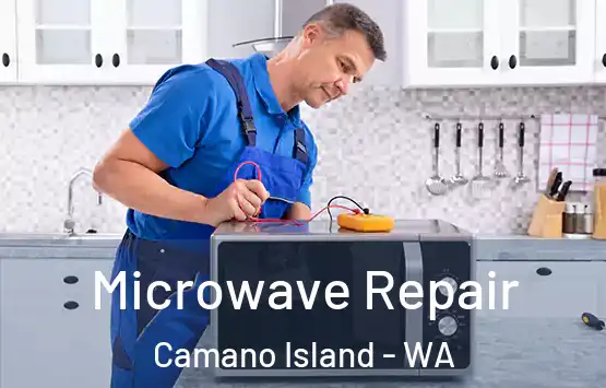  Microwave Repair Camano Island - WA