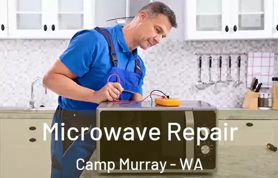  Microwave Repair Camp Murray - WA