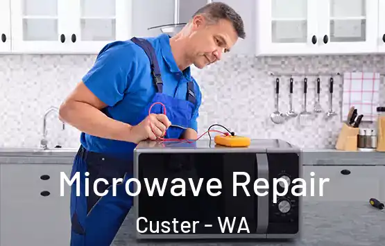  Microwave Repair Custer - WA