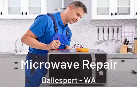  Microwave Repair Dallesport - WA