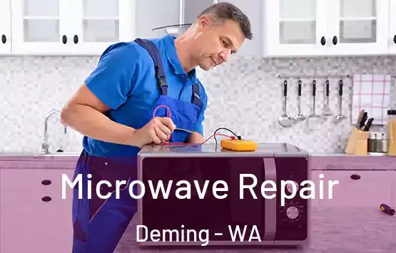  Microwave Repair Deming - WA
